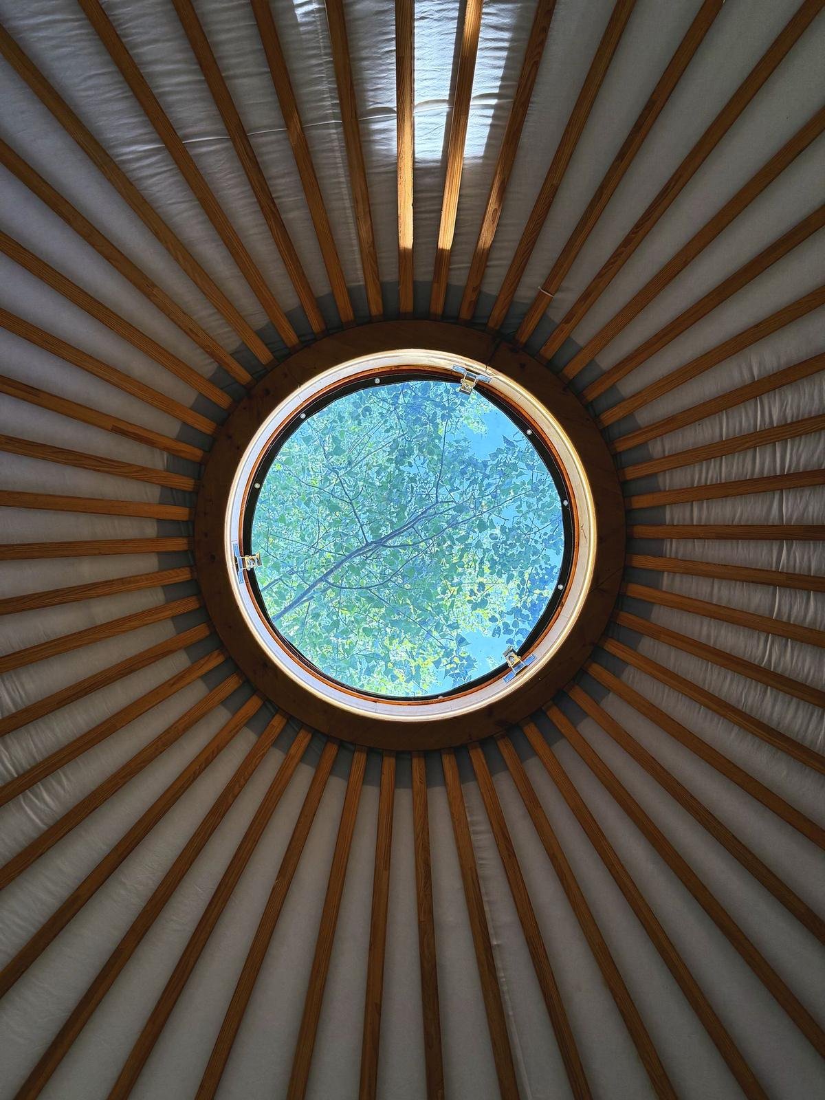 Coupole de la yourte vue d’en bas, perches de bois rayonnantes et ciel